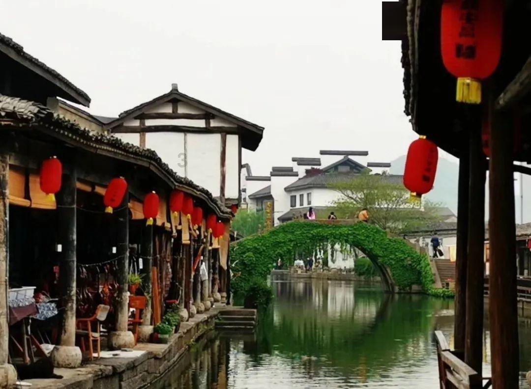 学习插花艺术
